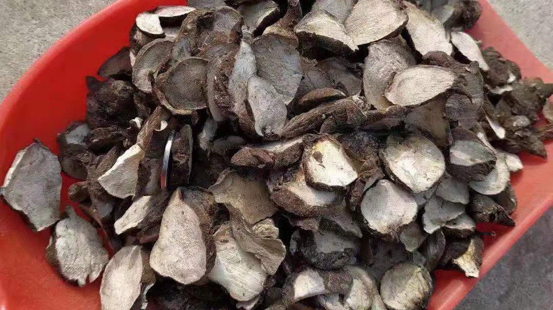 为什么火神派附子用量大,火神派药材