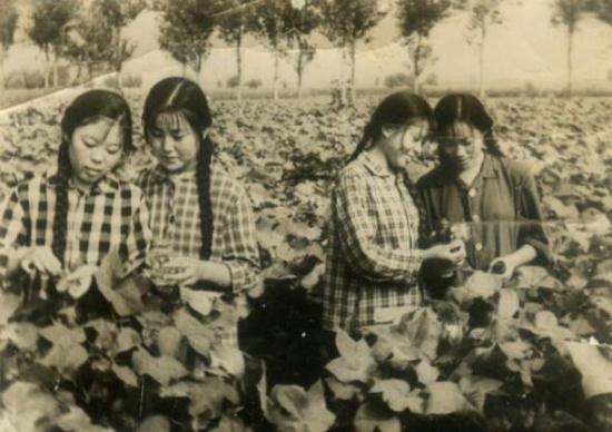 1973年，辽宁一位知青被保送大学后入狱，出狱后成亿万富翁