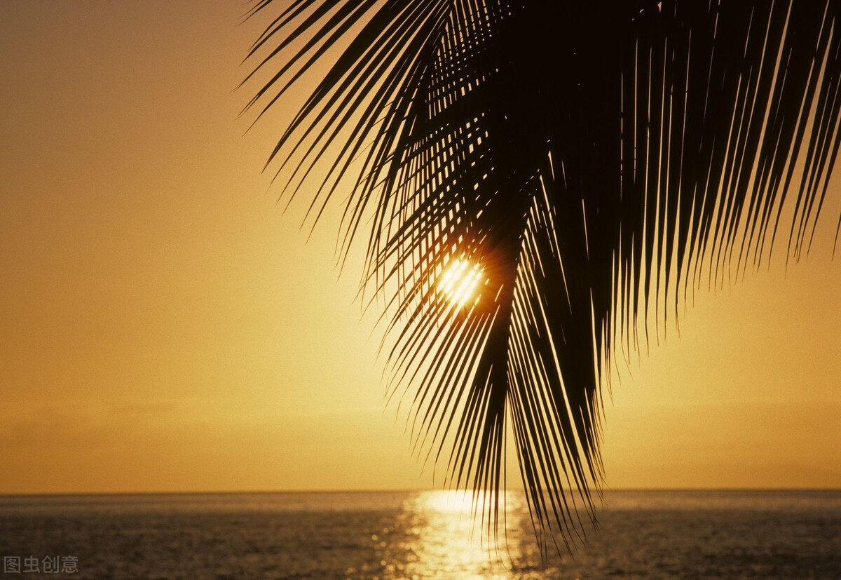 野钓鲫鱼全攻略!13大秘籍,7000字,找鱼窝、选天气,各种小技巧