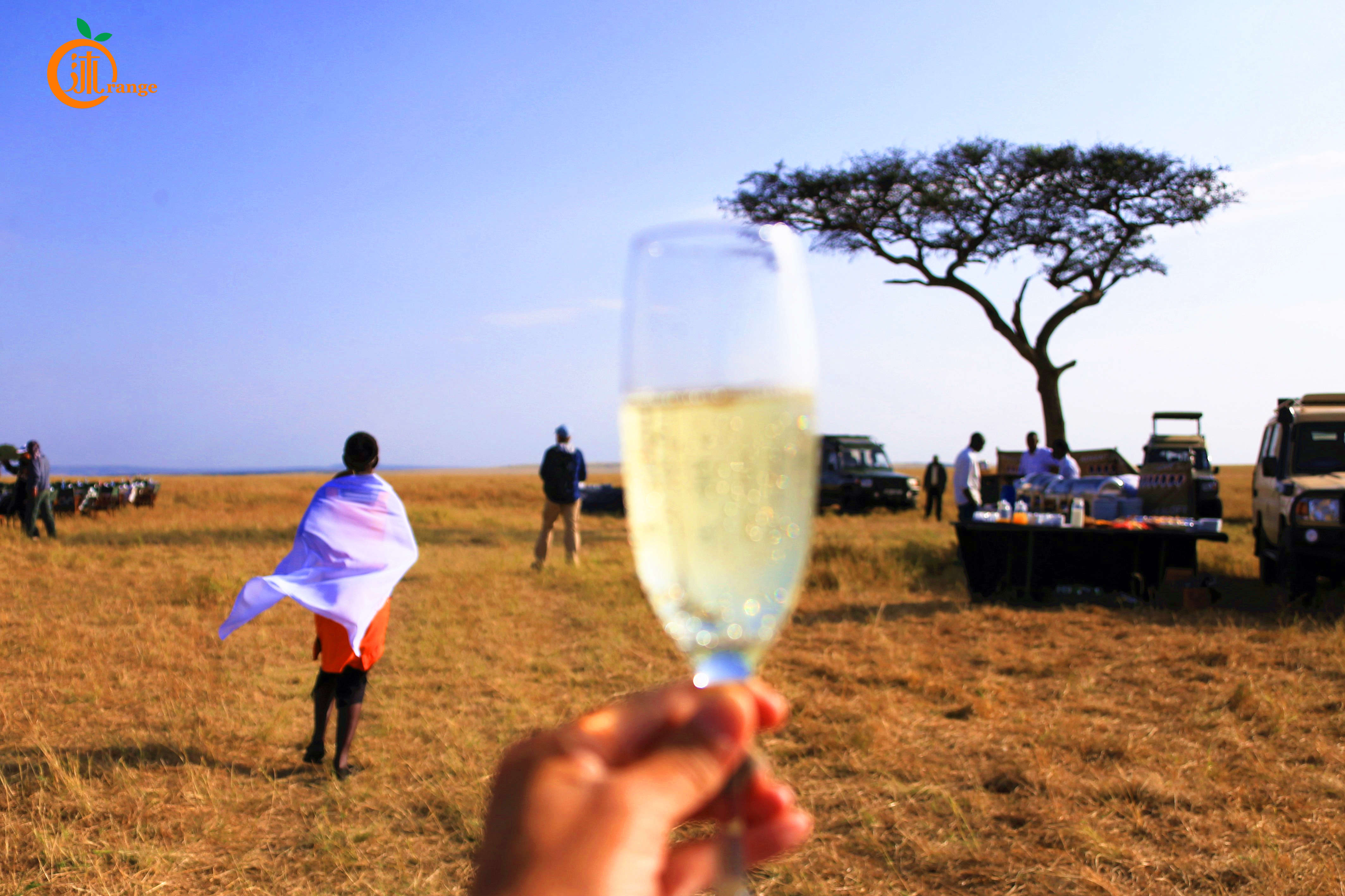 世界上最贵热气球多少钱一个,世界上最贵的热气球多少块钱