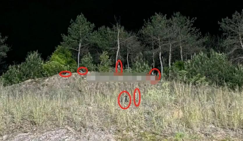 杨幂遭工作室曝光素颜照,杨幂被拍在横店