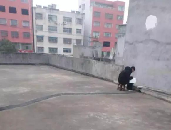 钉钉app评价,钉钉推荐下载