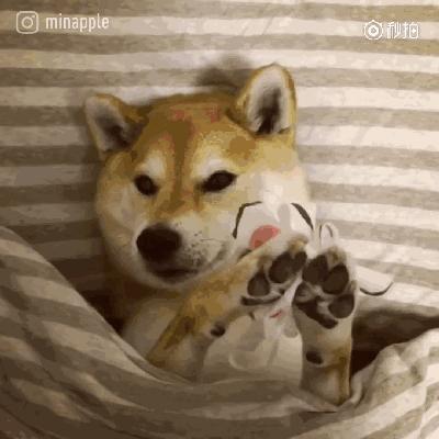 晚上怎么正确的敷面膜,敷面膜的3个最佳时间你记住了