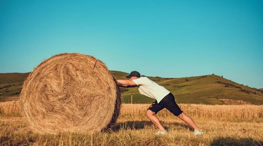 十一月火象星座水逆,11月运势排行榜