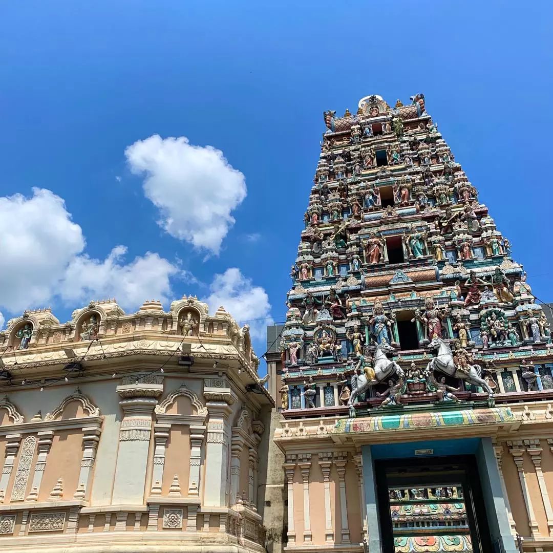 大帅东南亚流浪记,东南亚流浪人视频