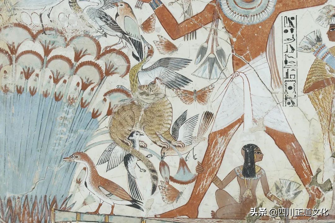 猫的故事高清图片,盘点猫的曾经故事