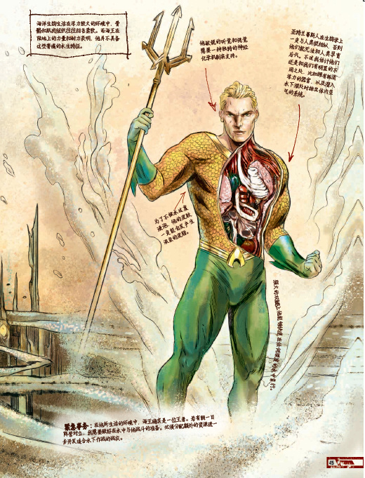 蝙蝠侠手记超人类绝密档案,蝙蝠侠绝密笔记