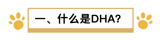 孕期究竟有没有必要补dha,孕期dha有必要补吗