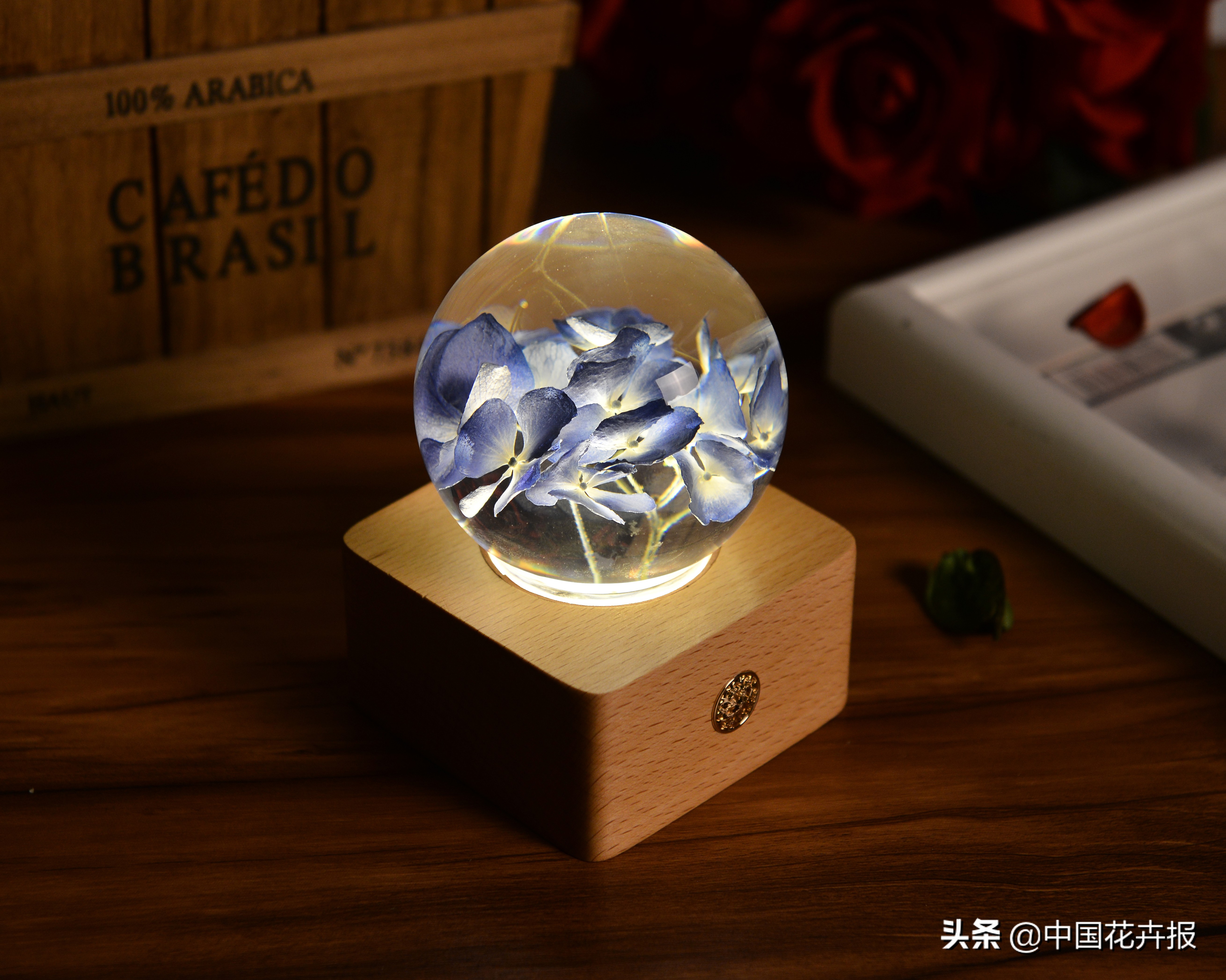 教师节送鲜花送什么花合适,教师节最应该送什么花