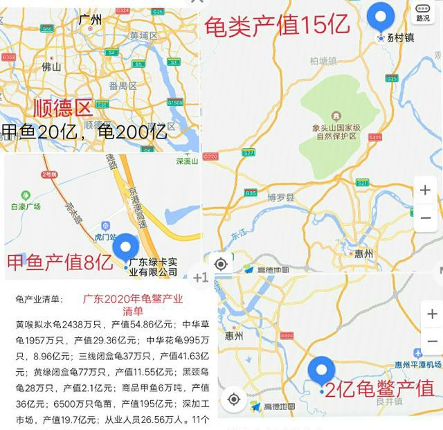 甲鱼全产业链,甲鱼产业现状如何