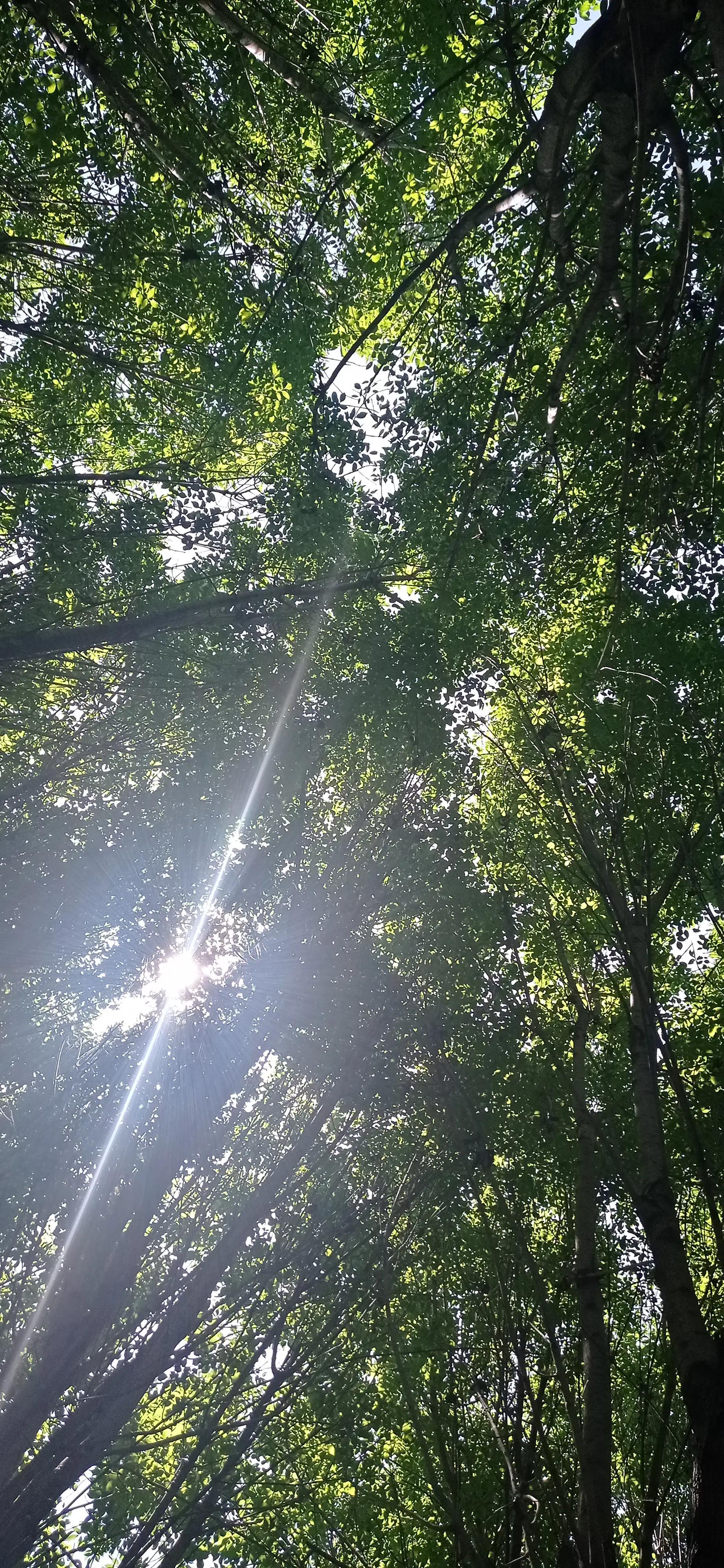 男性排尿注意事项,排尿困难最好偏方