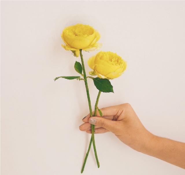 教师节祝词桃李满园,教师节桃李开满园