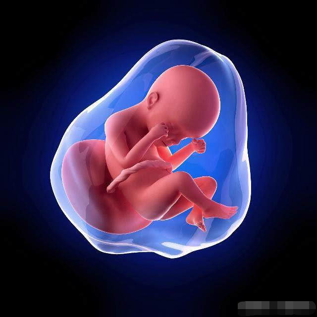 孕妇动了“胎气”,可能会有这3个“感觉”,孕妈别大意!