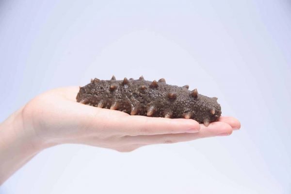 春节海参的简单最佳吃法,冬季吃海参听听专家怎么说