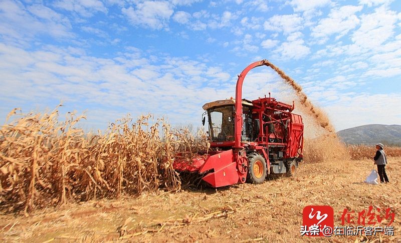 镜观临沂｜临报新闻照片一周精选（2021年10月29日）