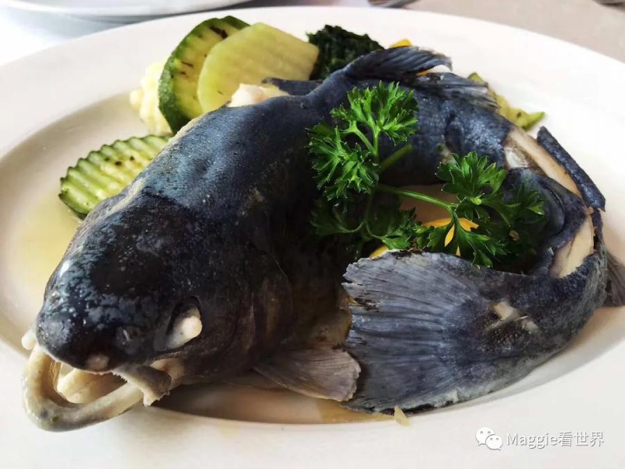 除了美，一无所有！跟我一起去体验瑞士欧洲之巅的旅程吧！