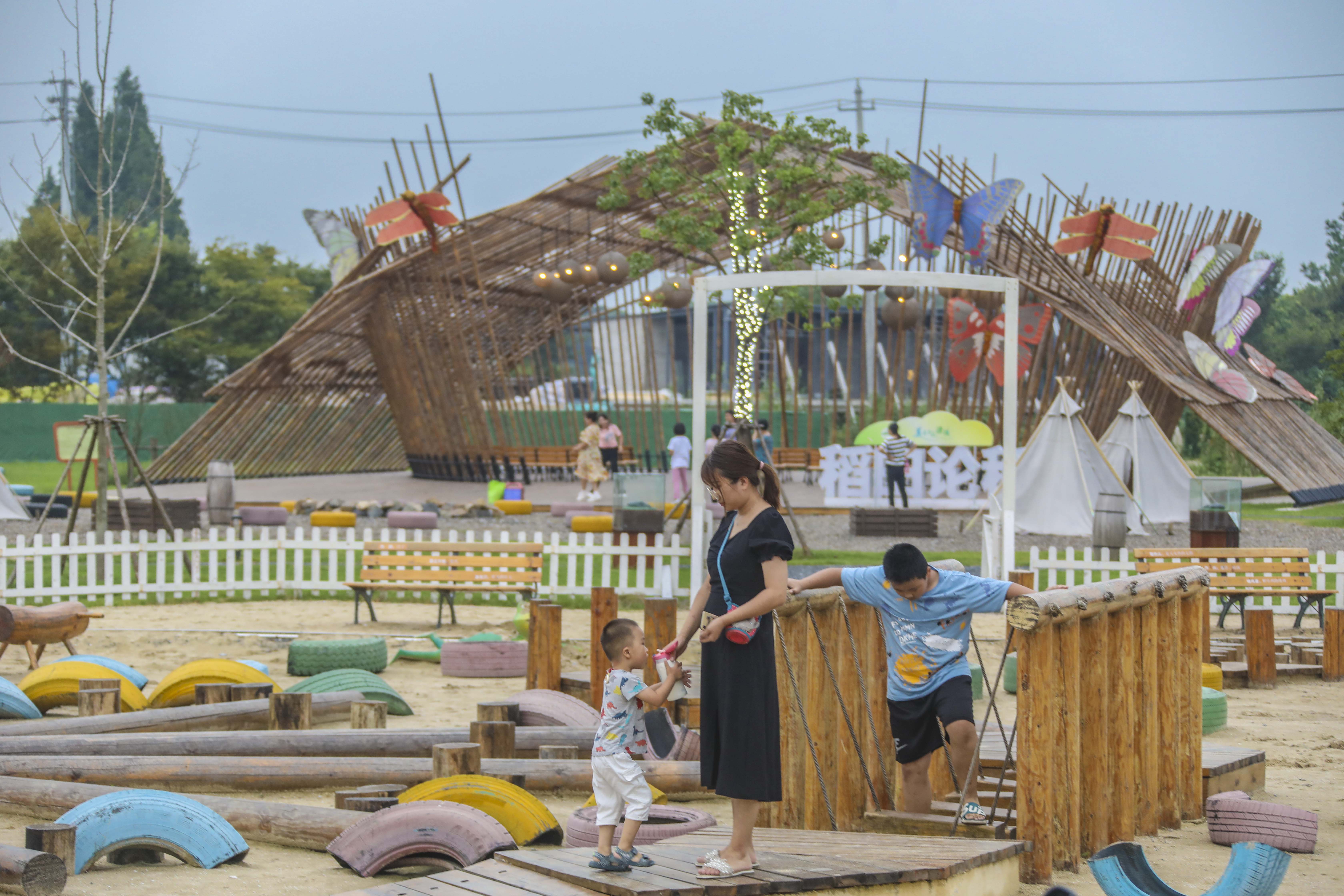 良田沃野蝶飞蜂拥，溧阳网红庆丰村的C位出道之路，果然迷人诱人