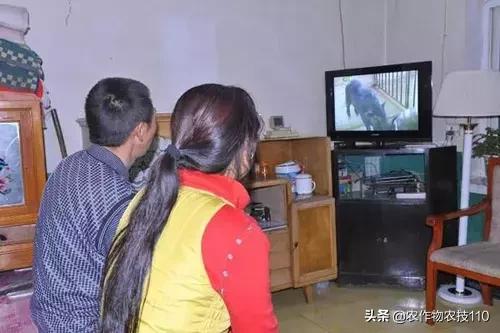 开店创业好项目投资小利润高,投资小利润高的创业项目有哪些