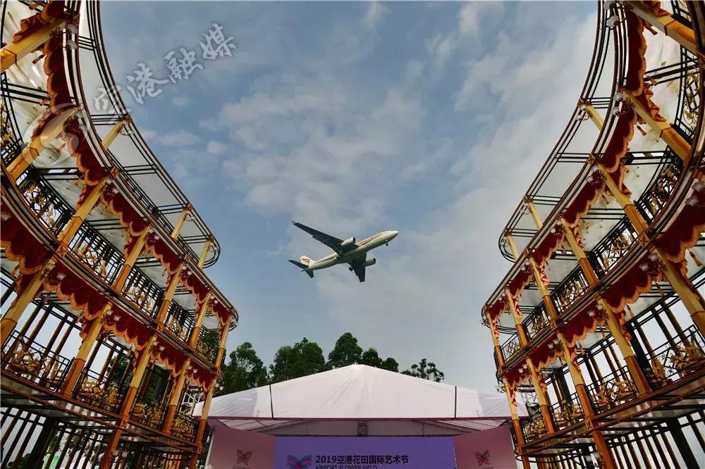 双流哪里可以赏花看飞机,双流附近赏花攻略路线