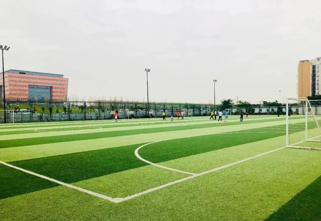 揭阳学校足球场建设,揭阳足球场建设价格