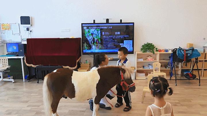 徐州树恩幼教国际艺术中心,树恩国际幼教艺术中心多少钱