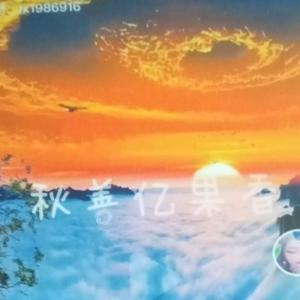 熬汤的玫瑰可以吃吗,可以打汤吃的玫瑰