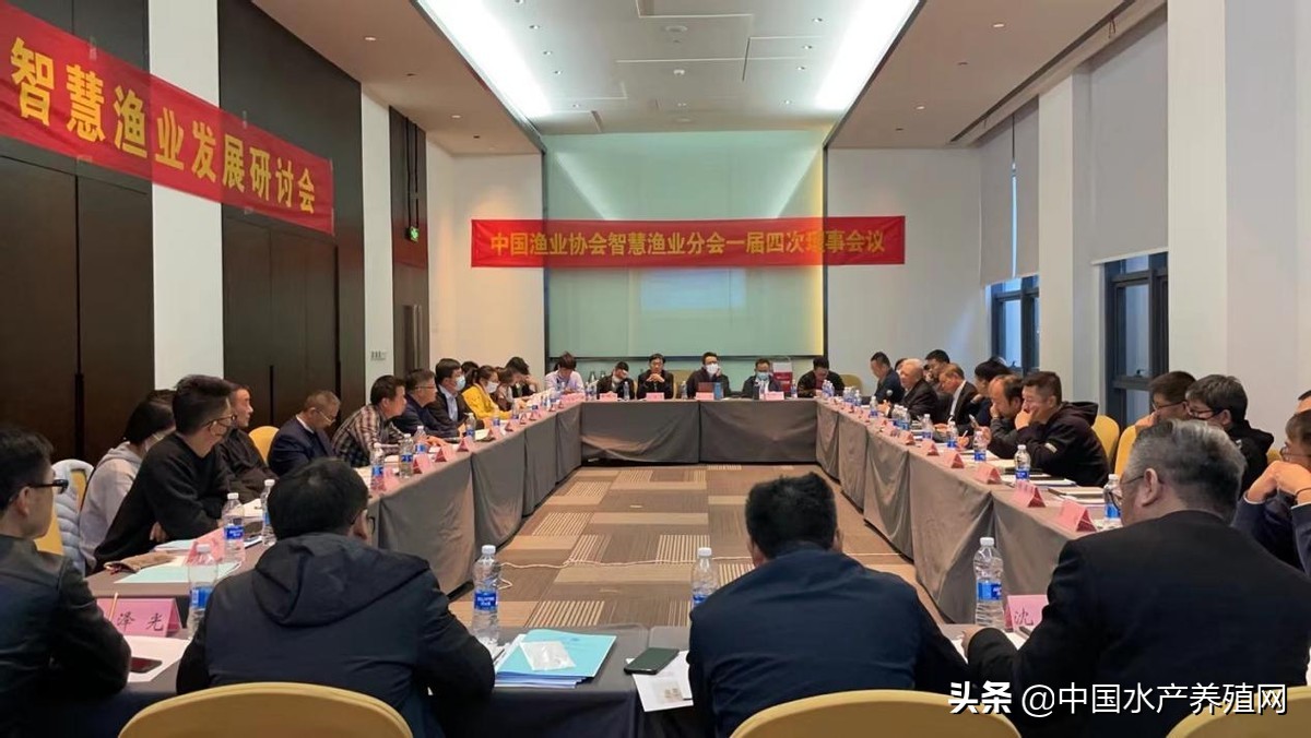 智慧渔业当前发展,全国智慧农业科技创新大会