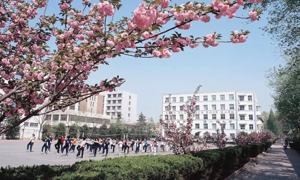 西安最牛的高考中学,2018西安最牛初中排名