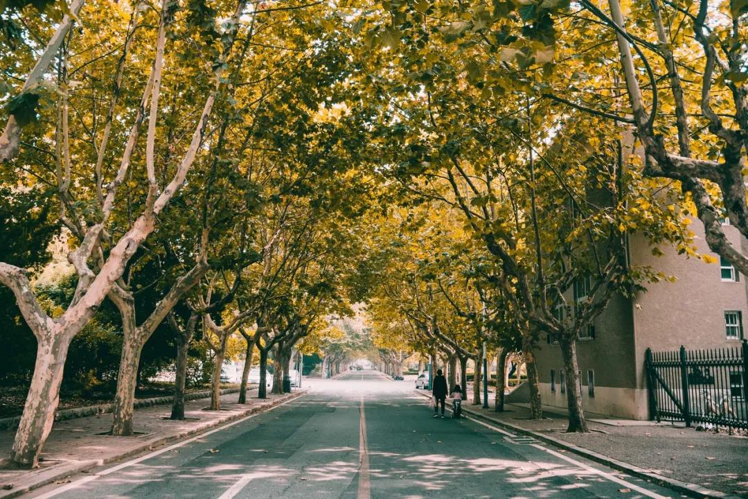 三亚和厦门哪个更值得去玩,三亚和厦门哪个更值得去游玩