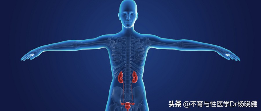 男人尿液浑浊有白色沉淀物严重吗,四十岁男人尿液浑浊深黄