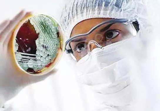 新型冠状病毒肺炎最新数据武汉,新型冠状病毒肺炎不要慌