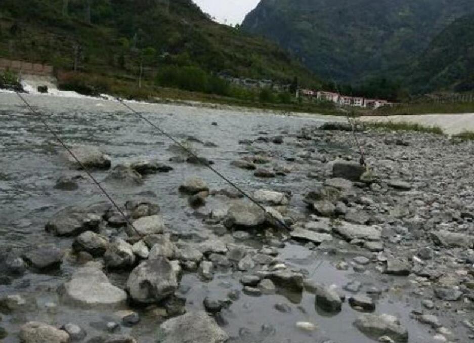 男子河边钓到娃娃鱼急得报警,四川男子钓到奇怪大鱼