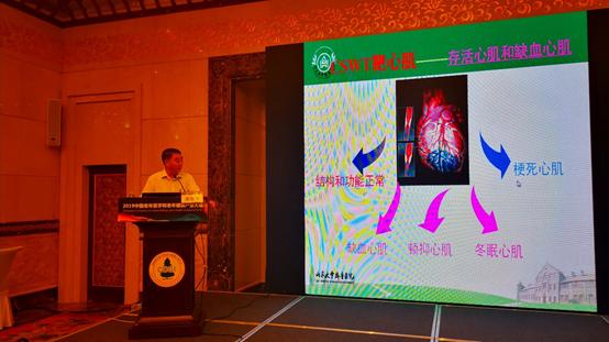 齐鲁医院高海青教授：体外心脏震波—建立冠脉微循环，实现血运重建