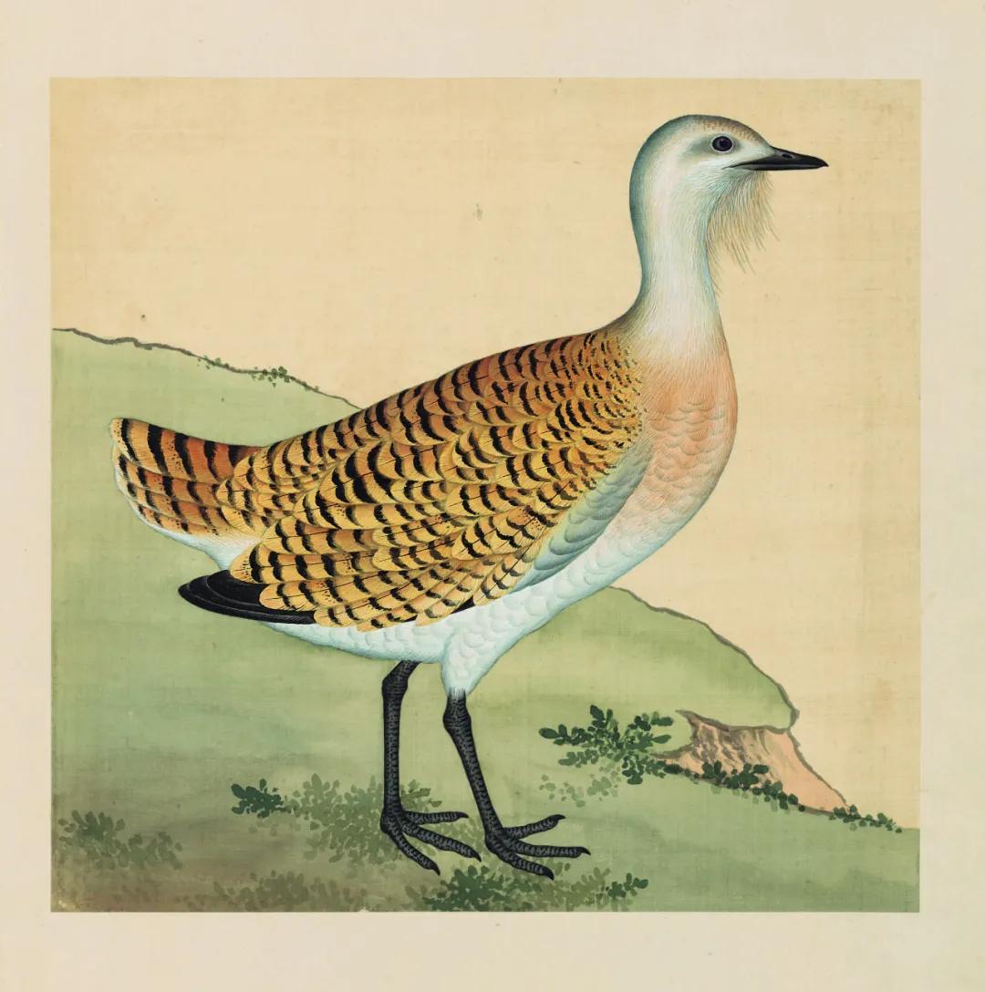 世界那么大我想去看看读书笔记,世界那么大我想去看看古诗