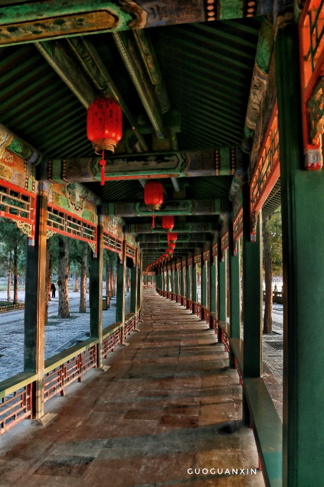 《晨辉情未了，光影长廊再写意》