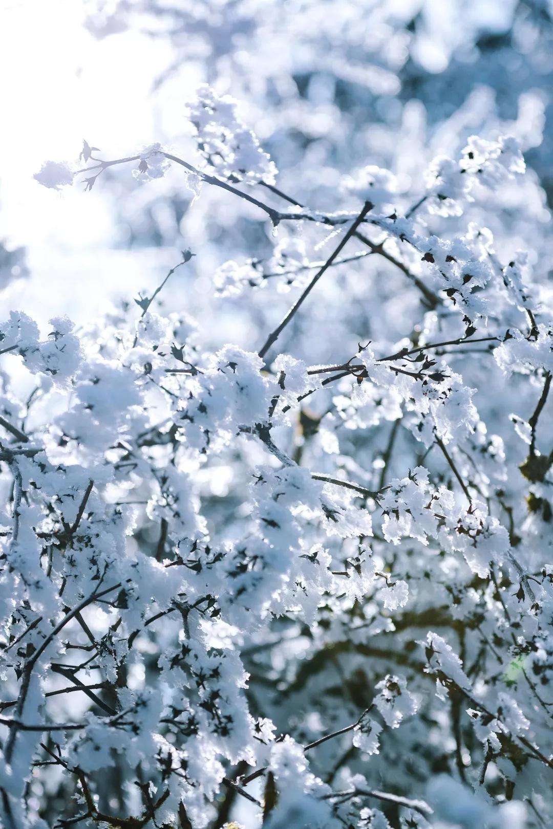 成都天台山景区自驾游攻略,成都天台山玩雪