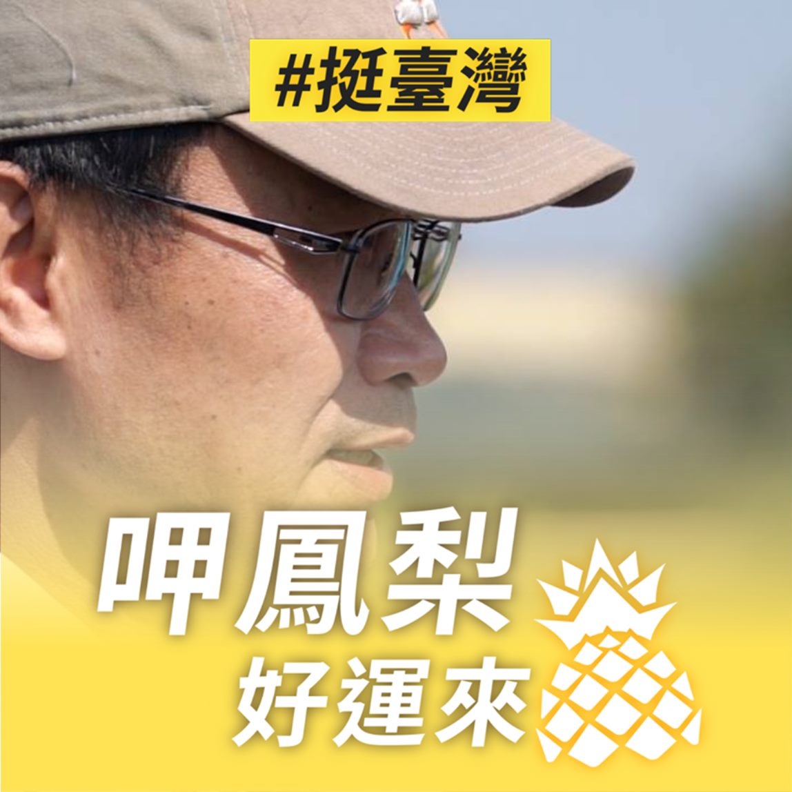 台湾菠萝滞销影响,台湾菠萝恢复进口