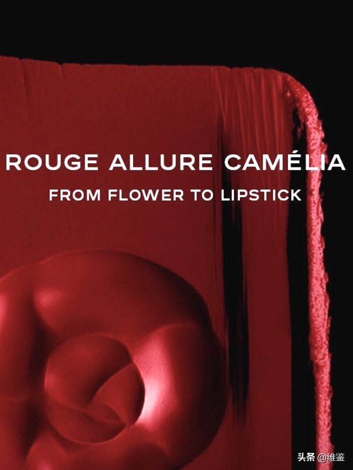 李佳琦2019年必买口红,2019李佳琦必买口红