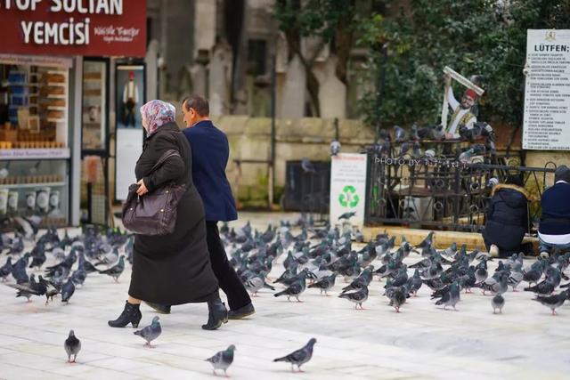 土耳其航班免费一日游,土耳其航空免费一日游