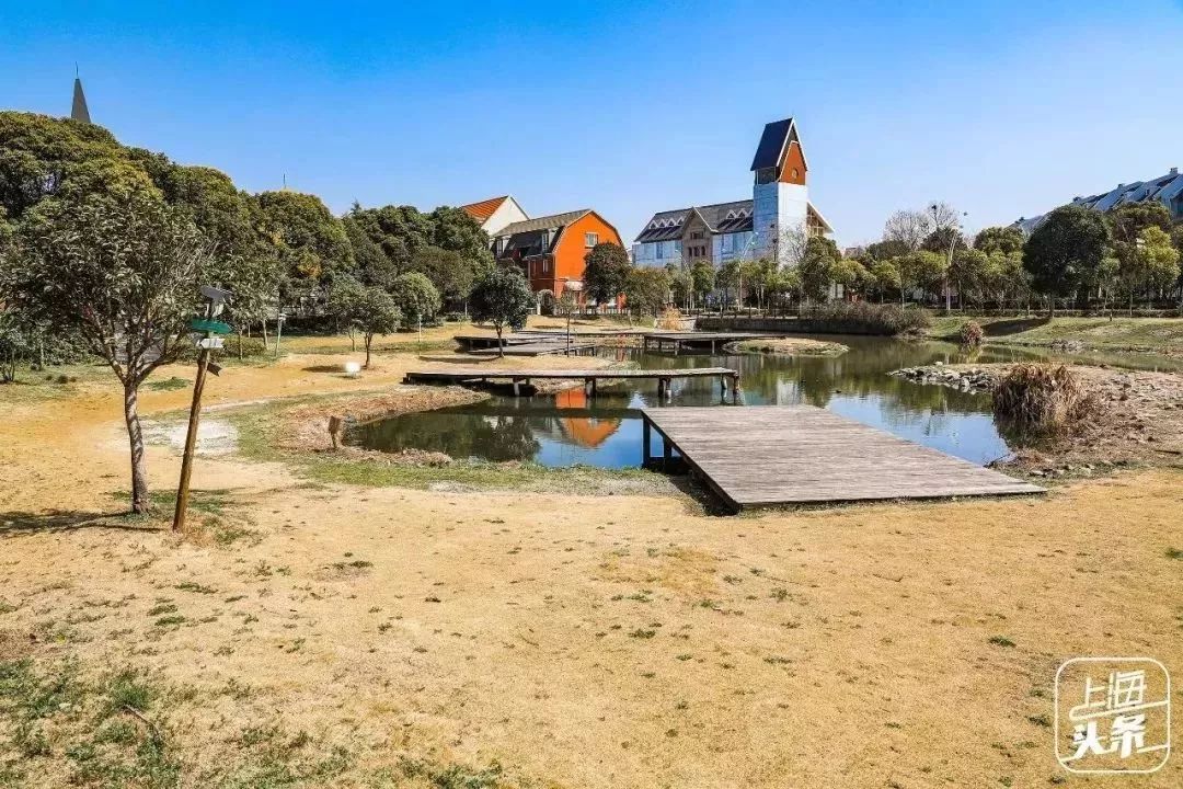 上海宋城免费景点,上海一日游攻略必去景点免费