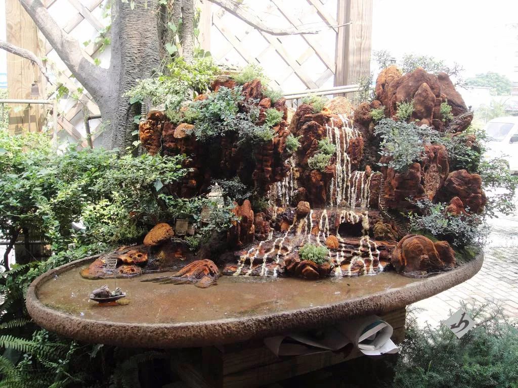 水旱树石盆景图片,什么树石盆景最好