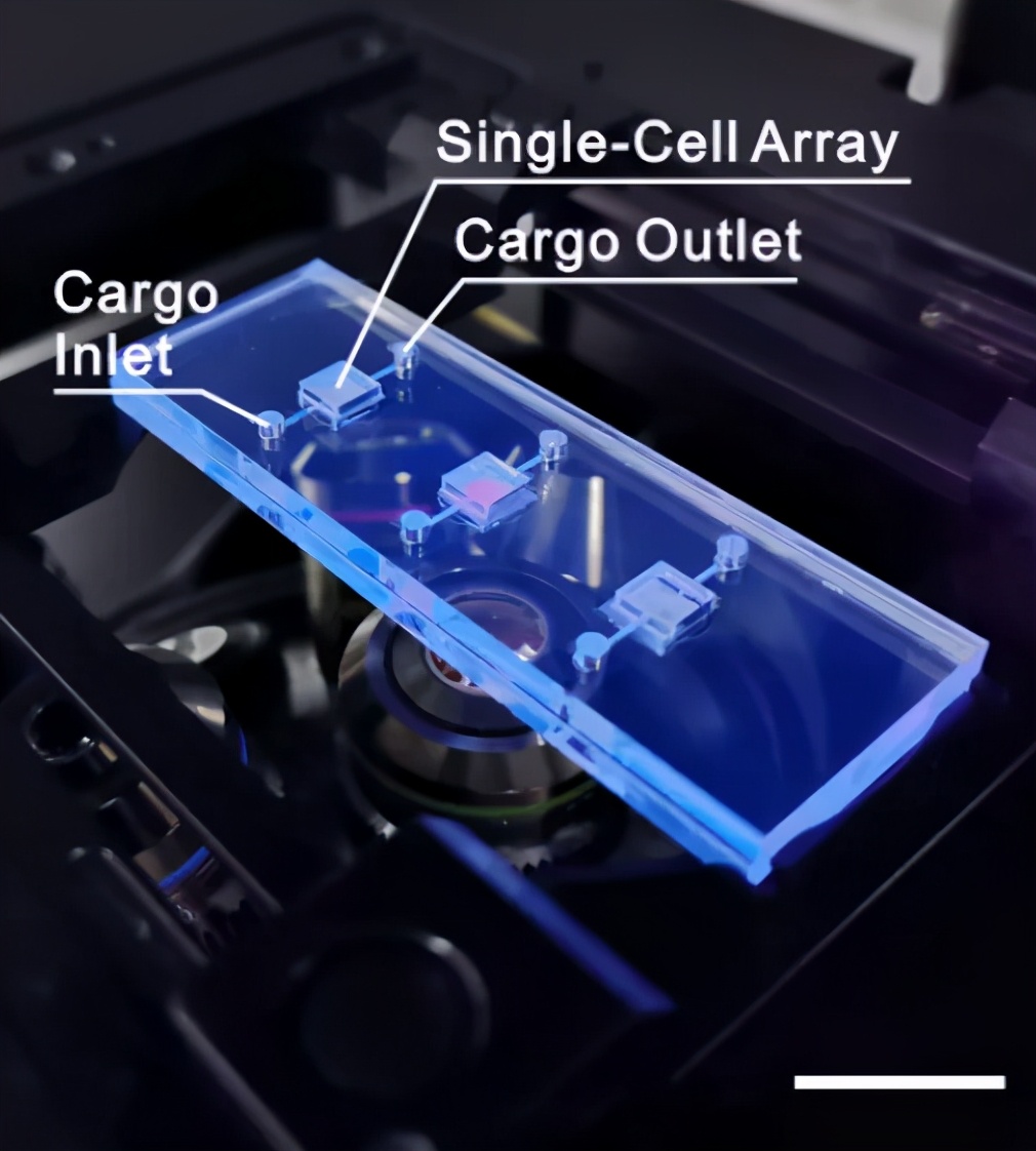 北航教授研发纳米芯片，30分钟即可解析肺癌细胞基因突变|专访