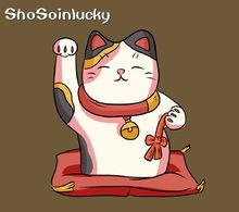 招财猫细支有几种,招财猫御守足金