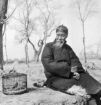 养鹦鹉和养观赏鸟哪个好,观赏鸟养殖的现状及前景