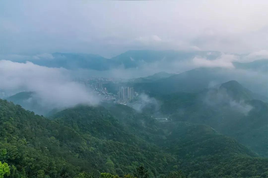 深圳值得去的地标,深圳值得去的景点排行榜