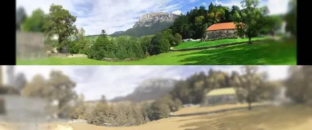 人类在猫的眼中是什么样,猫眼前的世界是什么样子的