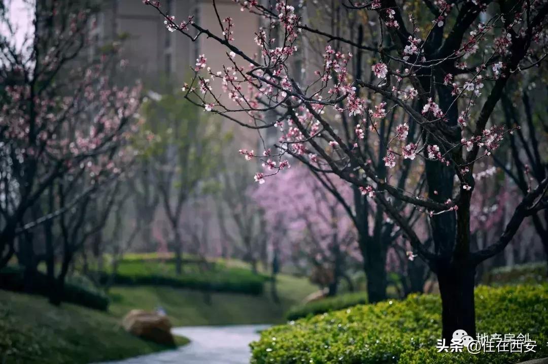 星河湾的优势是什么,跨入星河湾