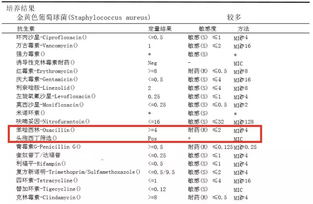 万古霉素治疗mrsa疗程,万古霉素用于mrsa的作用机制