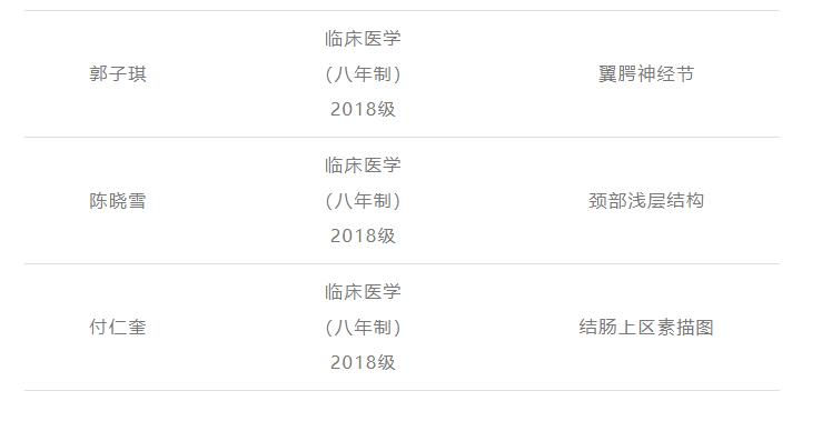 灵魂画手的手绘作品,医学生手绘器官创意解剖绘画