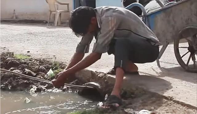 印度掏粪工死于什么病,印度掏粪工死亡率